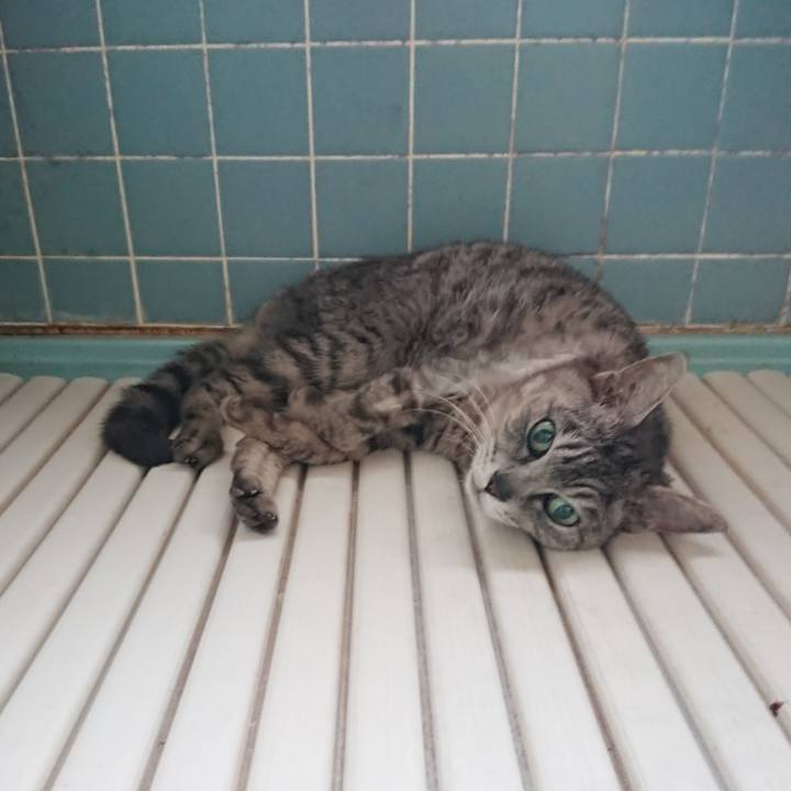 060e720f a007 4eb2 b92d 3a84efda0b94 1591733039036