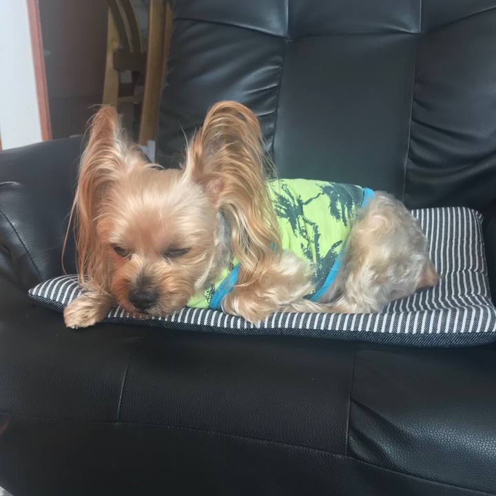 060ea724 6a49 4c29 838e 40c6ef31b22a 1579424345587