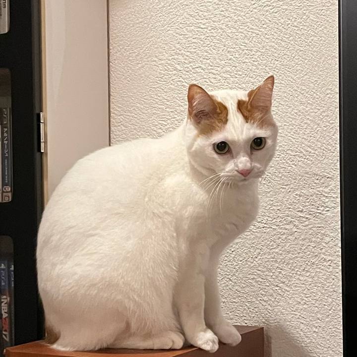 060ec3b8 df5a 4499 bbdc e65a79e8e12e 1764156226104