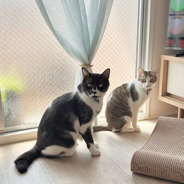 060f114f 648c 464c a37a 0aac63dde4f1 1773543198819