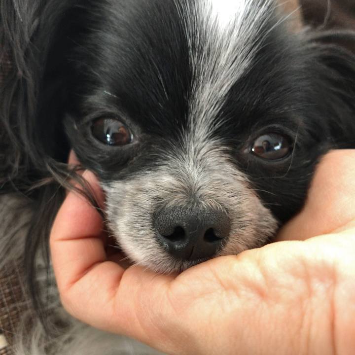 060f18dc 2dec 4f81 b7b4 9637f9de1b3b 1523428671460