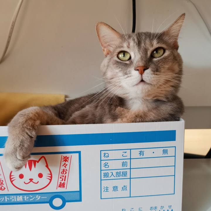 060f44a6 3217 4d88 a0e5 a08073f90db3 1611218032556