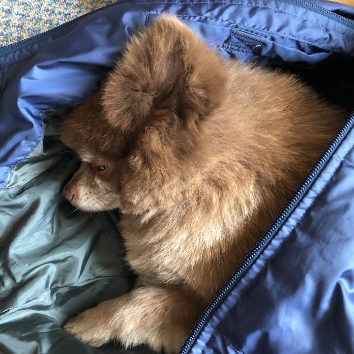 060f491c 5eb5 4213 8184 7c22b741e3ec 1551926124305