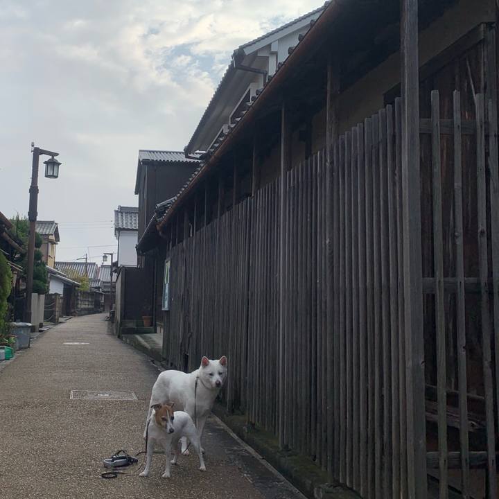 060f5289 f36f 4aaf a68b 3f9769641bbc 1545526962481