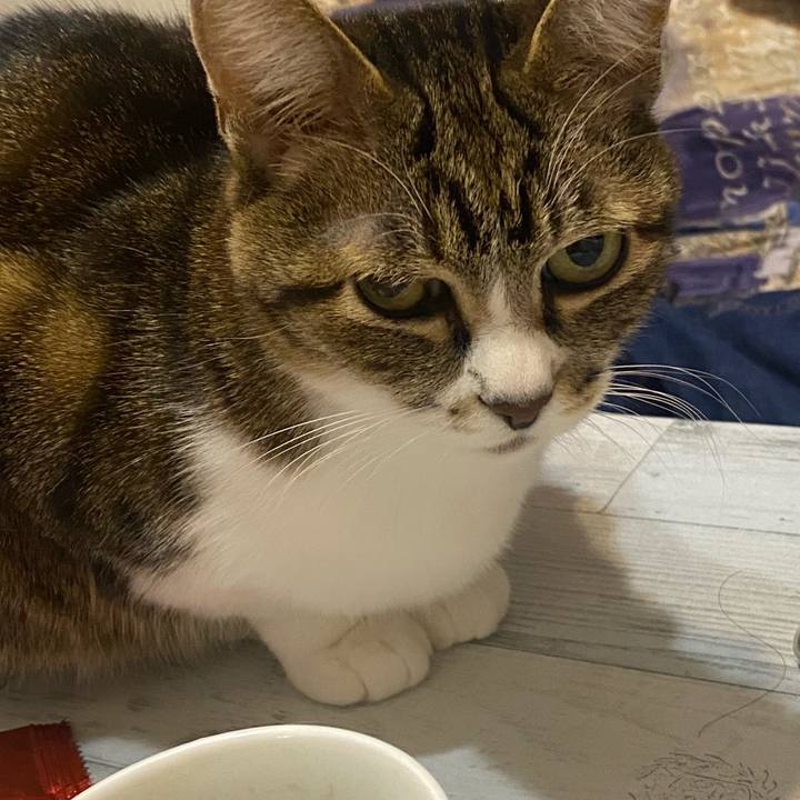 060f5f03 c140 4a2c b75a 26a9fcda695c 1644678470576