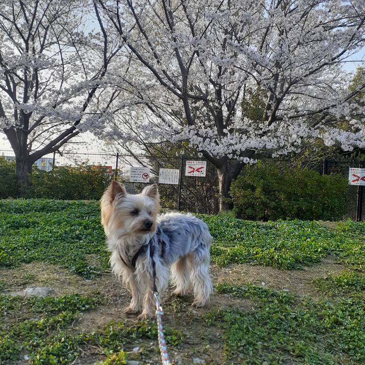 060f64d1 e562 426e a54a 8da0c21fcbbf 1679956978145