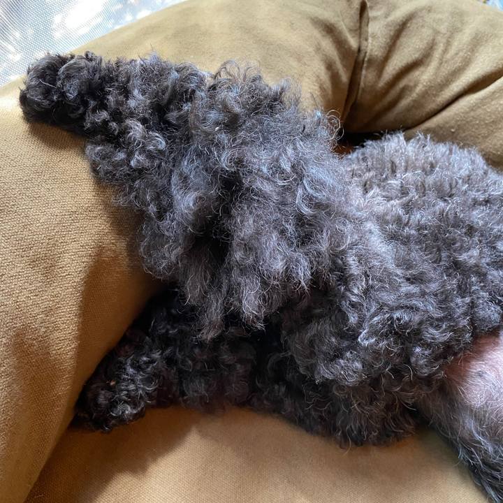 060fa376 2439 429c a803 9d87cf042598 1657515429961