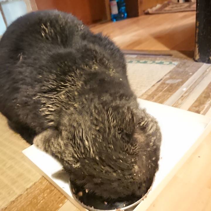 060fbd12 8b07 44cf a933 28742ec0cb91 1615982846864