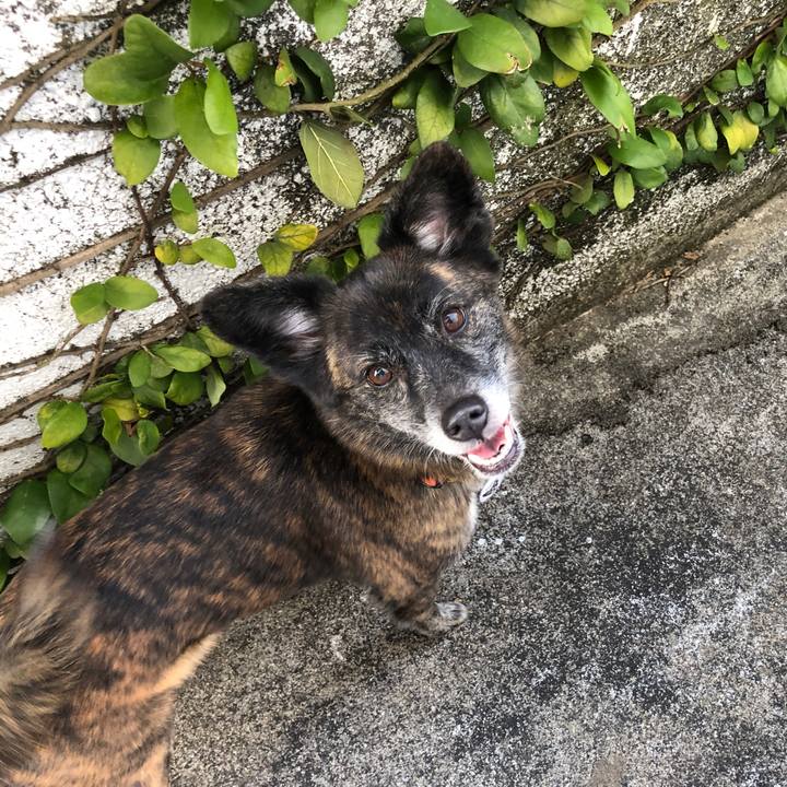 060fcb95 128b 4a97 b340 a75c8bb42730 1580903717360