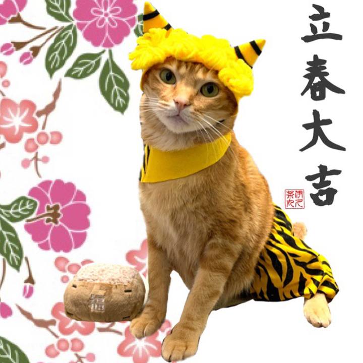 060fcc08 f0cb 4629 a900 3187bee8ee76 1580729489409