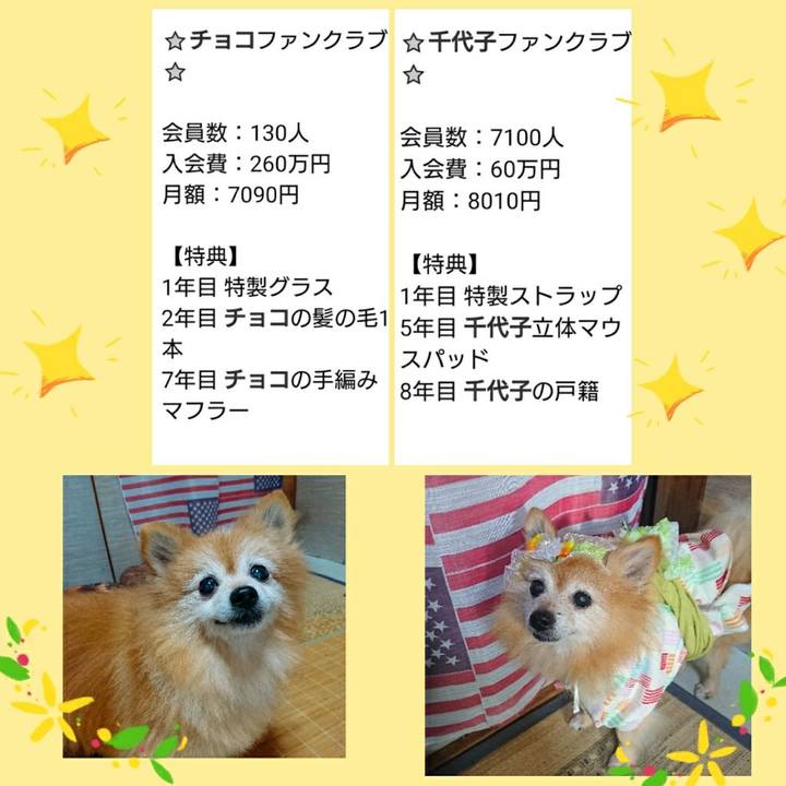 060fcef3 bd1f 430d ab3d ddcbcec763e7 1568523060822