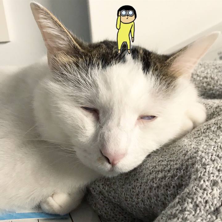 060fd4af b4f8 46a6 a6f1 3846b6cb04c7 1567644350484