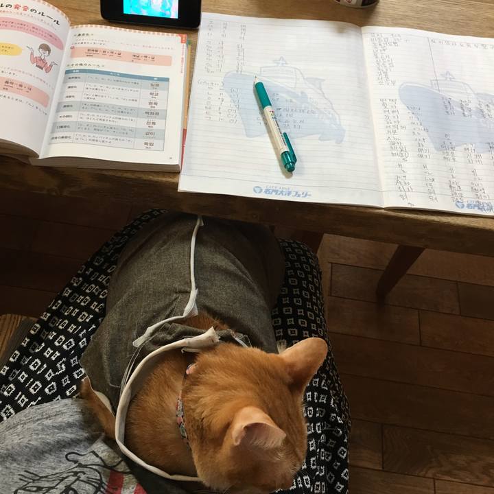 060fed8f ffce 46ad 8790 63bf10341825 1536469202425