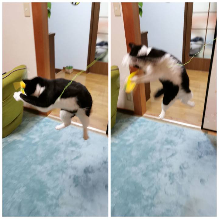 06100e75 1744 43cd 9fad 3af6034c485a 1646969784832