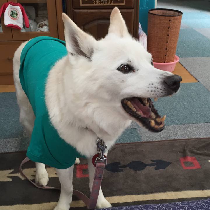 06102dff 632a 4de2 8738 f52de53e777f 1528040531272