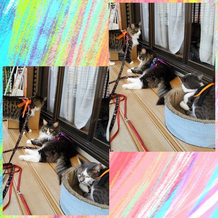 06102e77 1d2d 4381 945c 94f31870416b 1695022456586