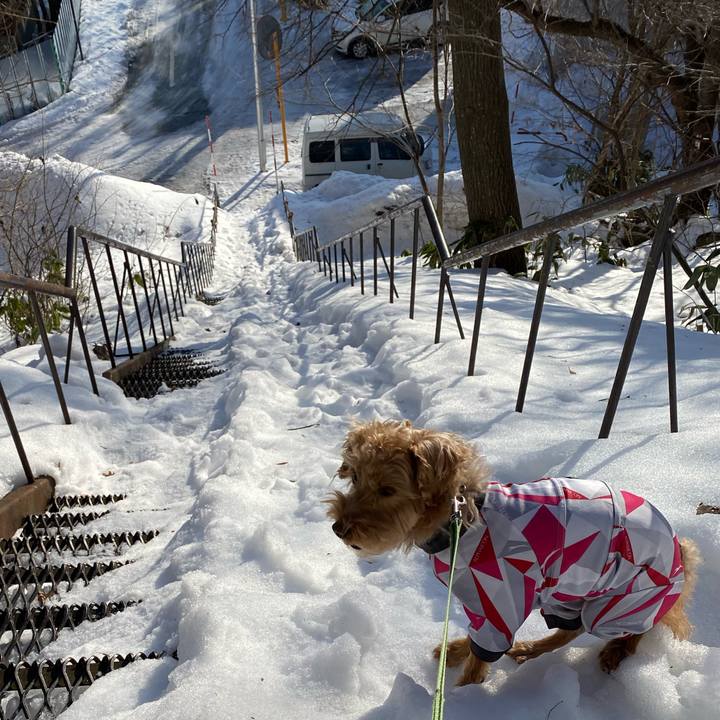 061033fb 514e 4b57 9426 fea0285713a4 1615418070071