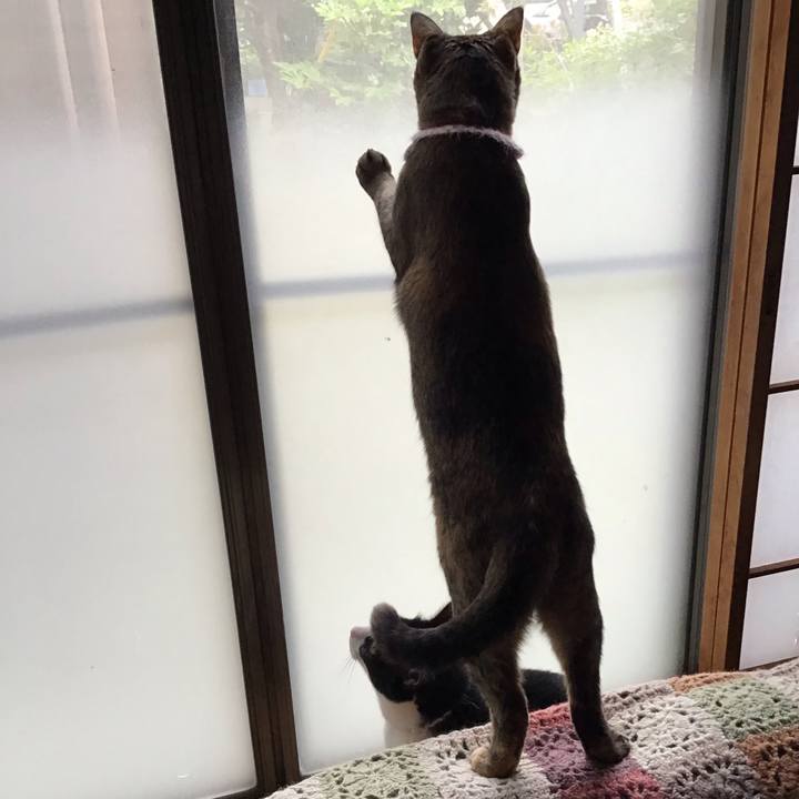 06105a5b f4b9 4272 9ae0 1d9e61d67ce3 1655170702096