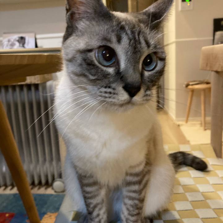 0610626c 284a 4560 a0b1 6dbfbfecdb9f 1614953700116