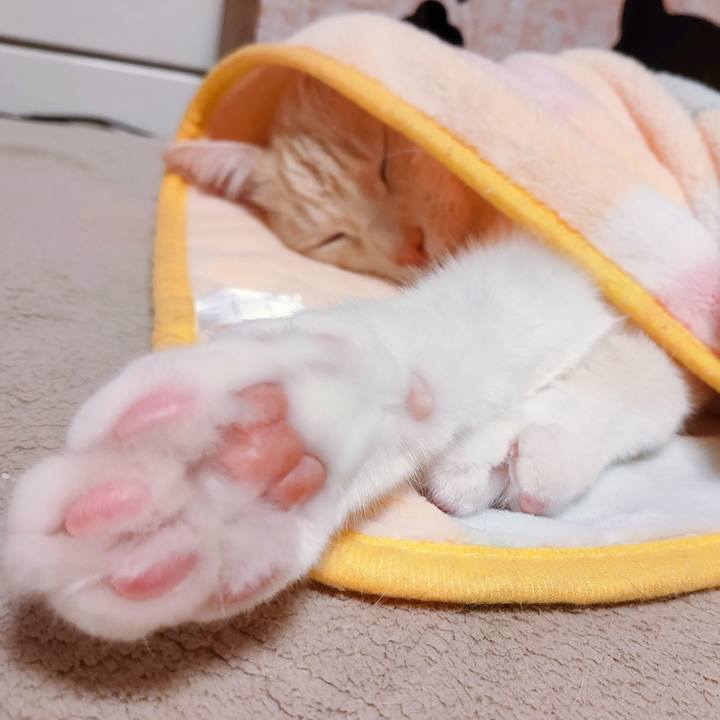 06109a3e 51ff 4cca b8b0 a0c459879ee8 1670335628686