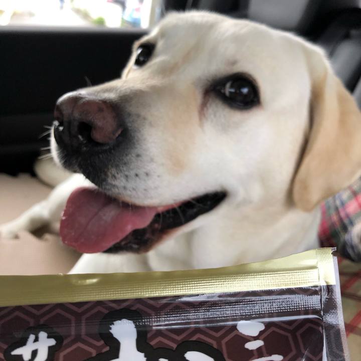 0610dae1 7805 413a af82 2445f0bafd79 1594000490792