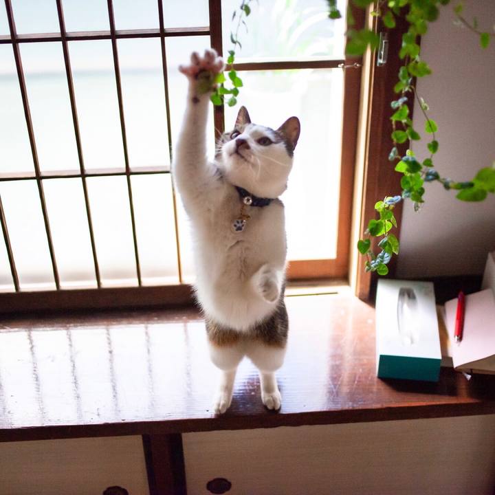 0610ec09 621b 440e bd9f 3ca2b567d2a4 1586403686394