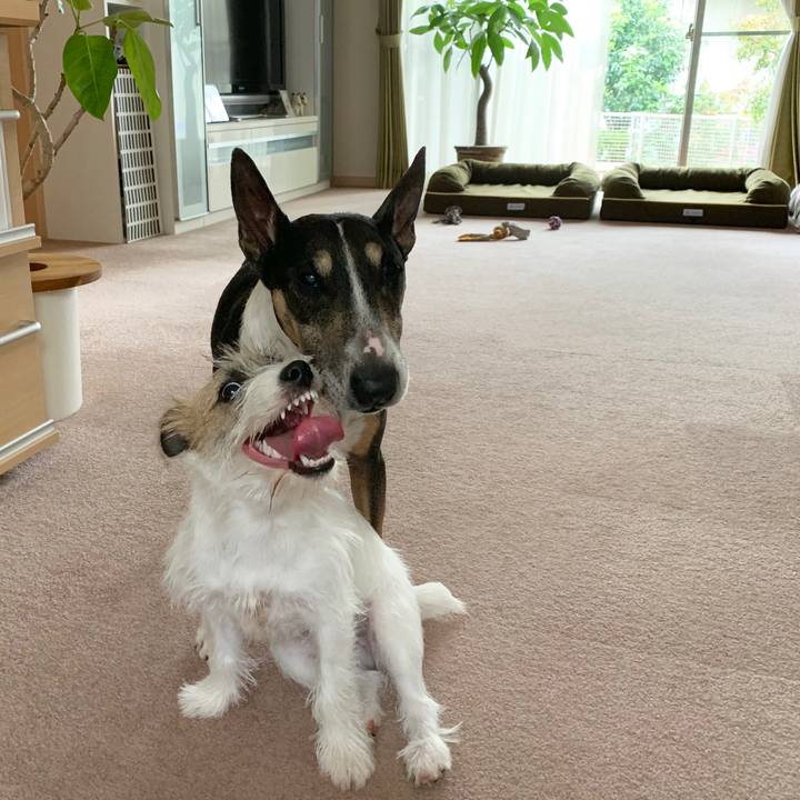 0610f94d 6031 4b54 ae61 024a8708a530 1569732135406