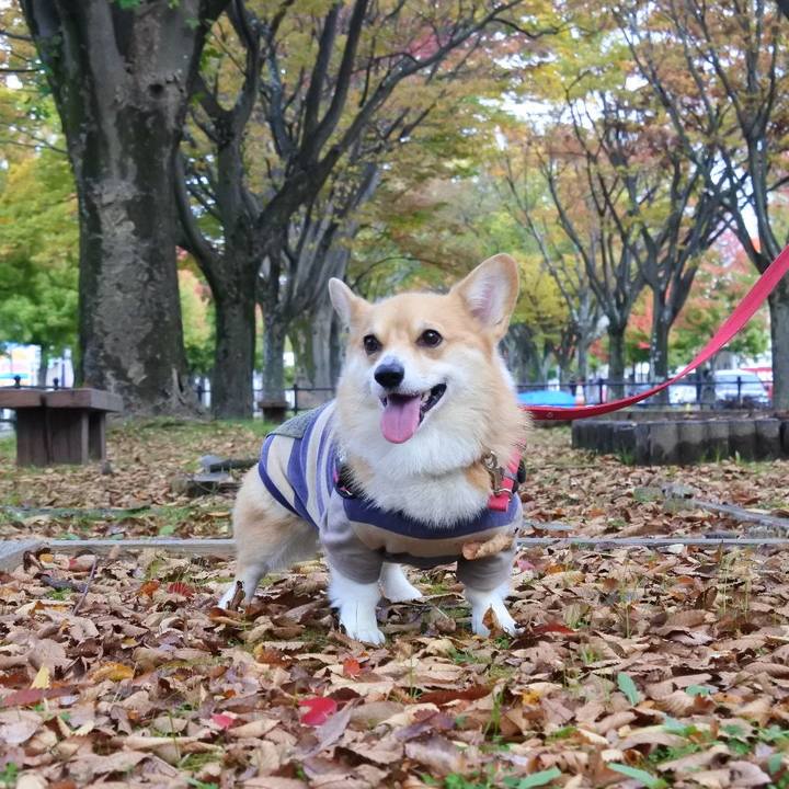 06114c19 0c3d 46aa bb48 385952dac37d 1603551486386