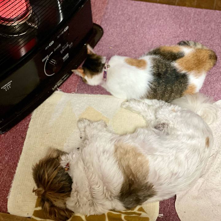 06115c95 d16f 4aef b7a5 3b655ec30ca2 1603185896373