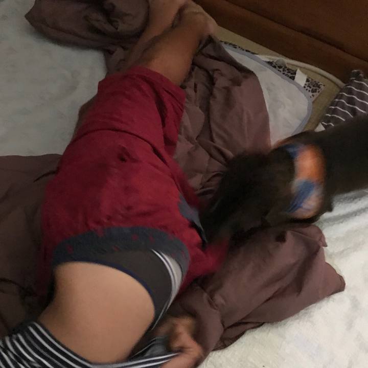 06116736 064d 4ea4 a5fe d70481af2201 1534815724910