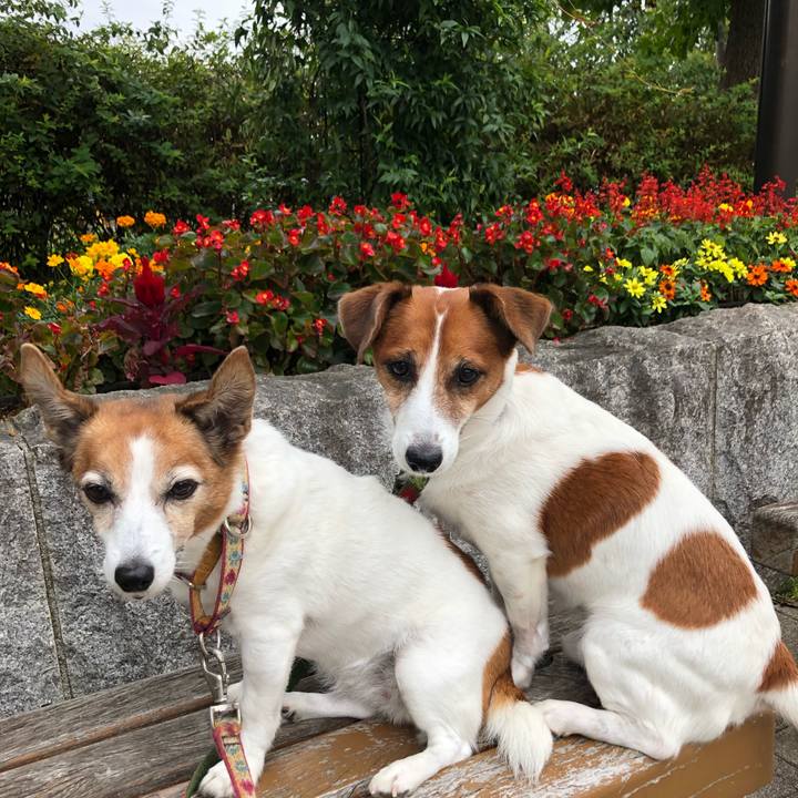 0611a695 c8a2 430b b730 6ee81e335d05 1571315438734