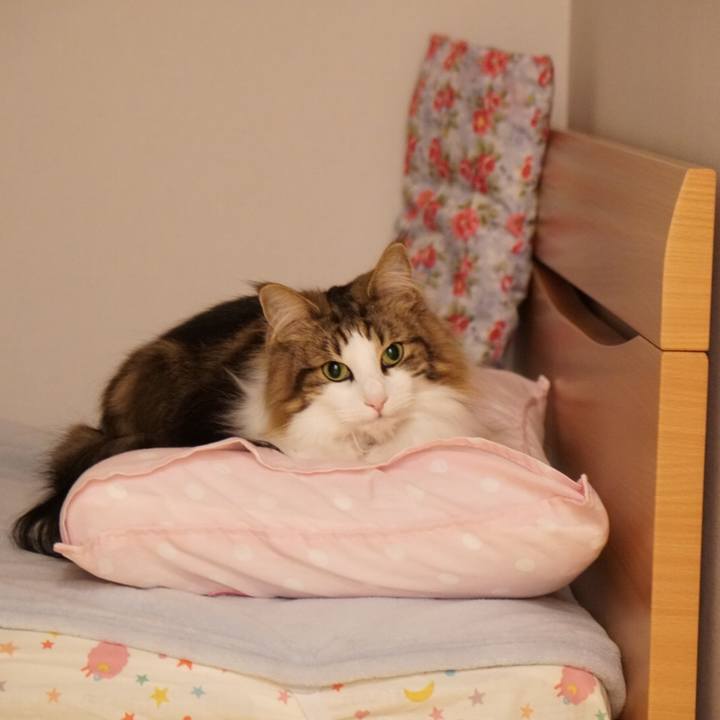 0611f021 e869 4909 b911 cdd7cdc5bace 1557329011710