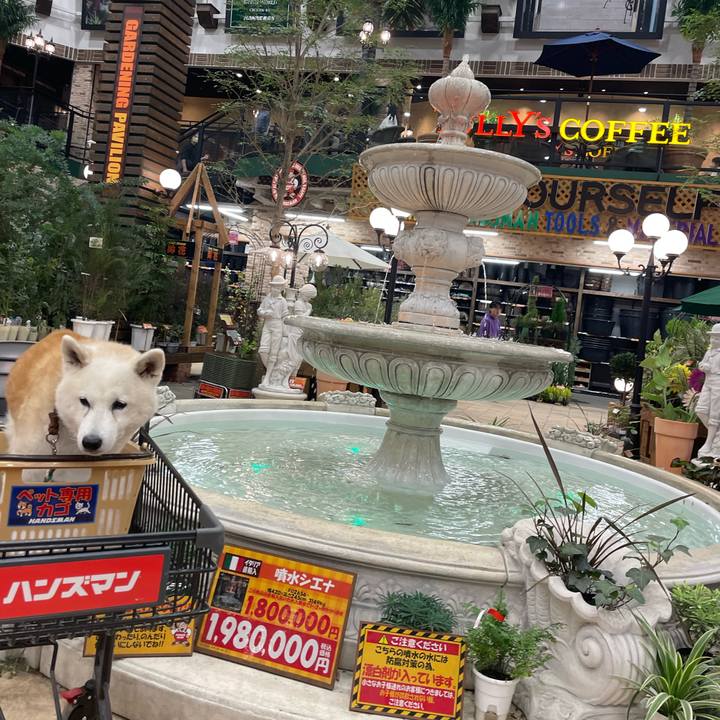 0611f8cc d3e7 491d 8b6a 916051a37b48 1699790362139