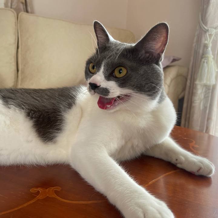 0612637c 199f 4773 ac1a 827675a8e3bd 1627800623433