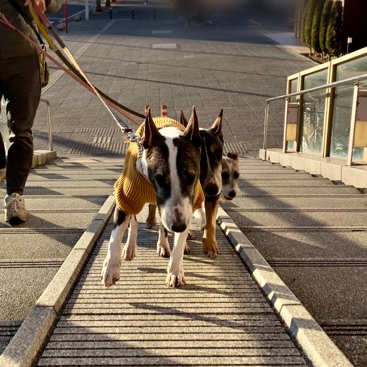 06126753 b931 4aa9 905a 7524f1065947 1608462765467