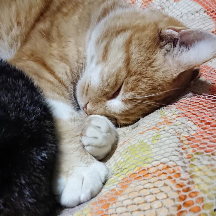 0612698c 4d49 4c9e ac03 74feeaa79ba6 1578142532039