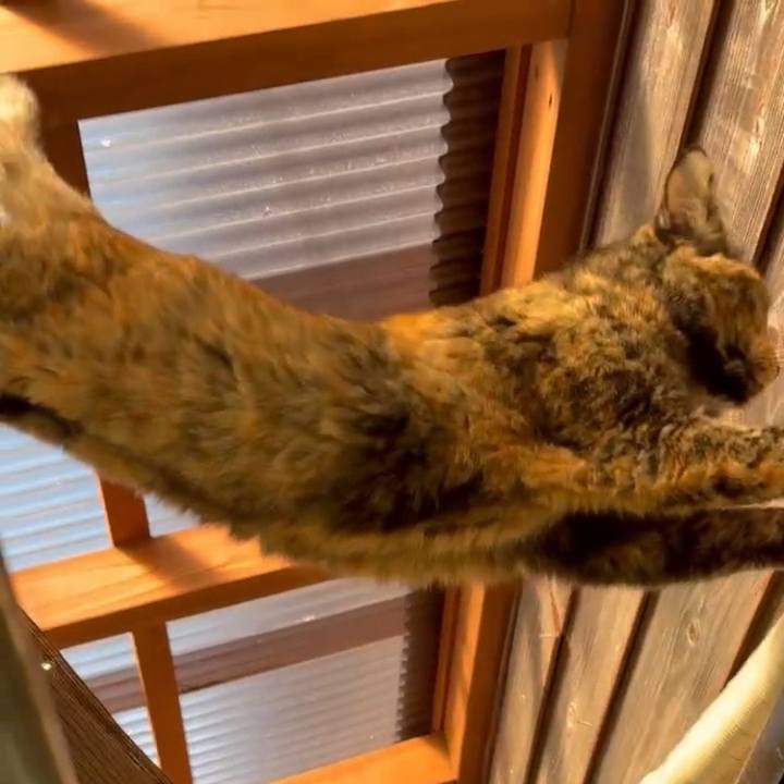 06128df7 5f35 490e 944c e8d3515dfa6c 1762153677369