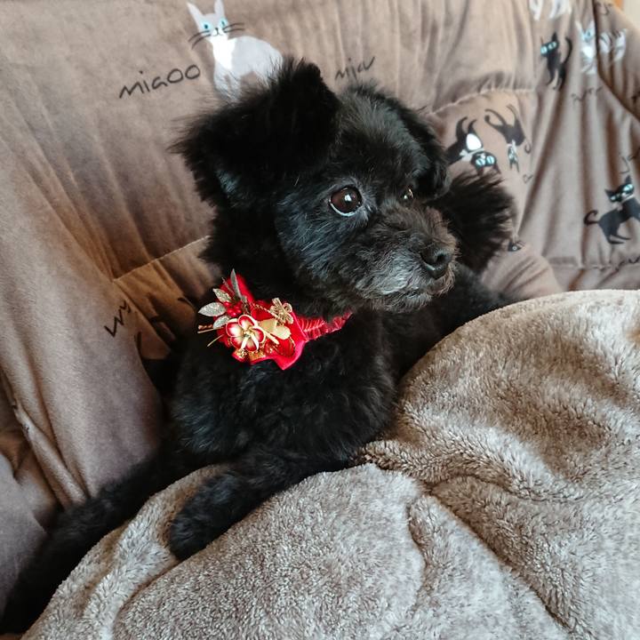 0612c504 e2eb 40d6 b7cc 54191cbd9d31 1515221691152