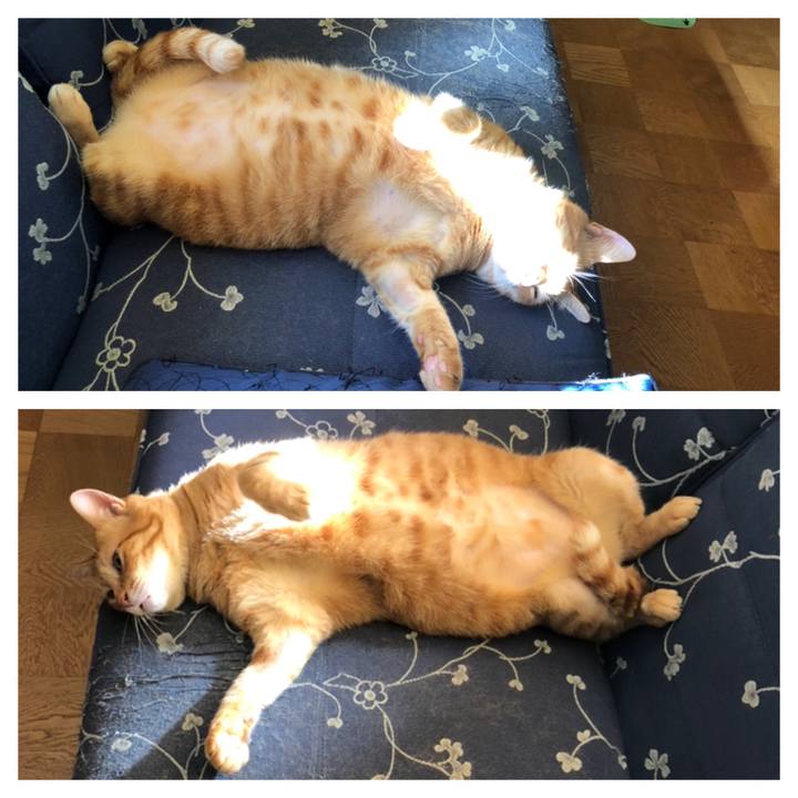 0612cbdf c8aa 465c a60f ca9f274b20d9 1567925457985