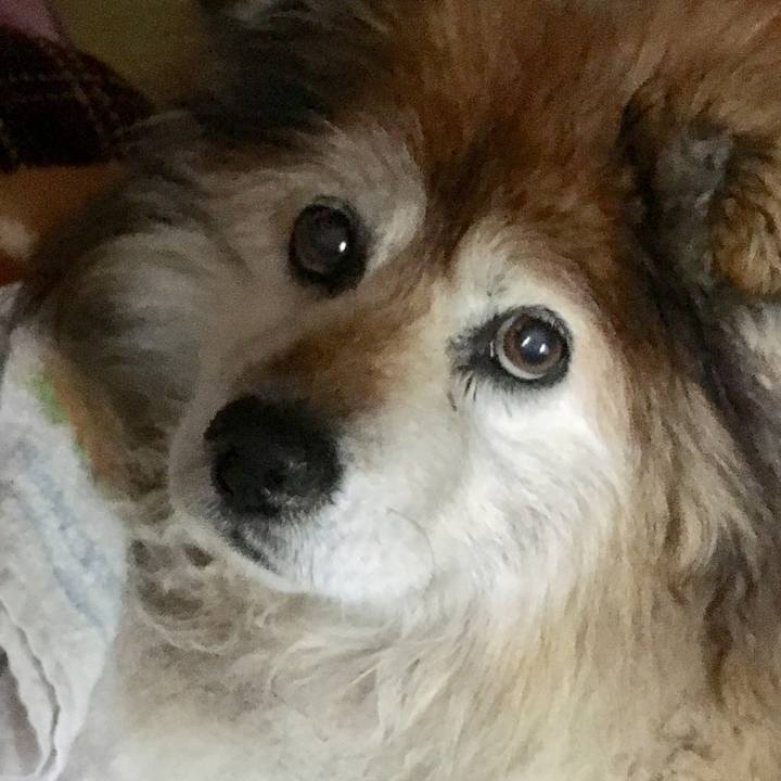 0612d4a8 5bbe 4473 b066 0ad3443fd5b9 1611308411632