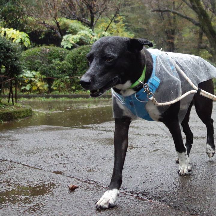 0612e476 b35a 4ff9 b7f8 4d62025d365a 1636414299104