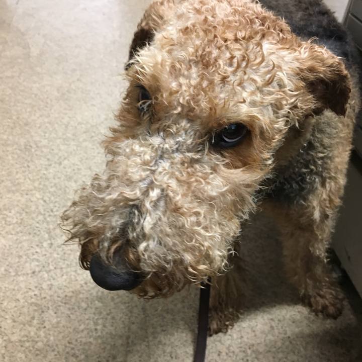 061339f2 aa89 4db6 8732 52906fdc4722 1527388458313