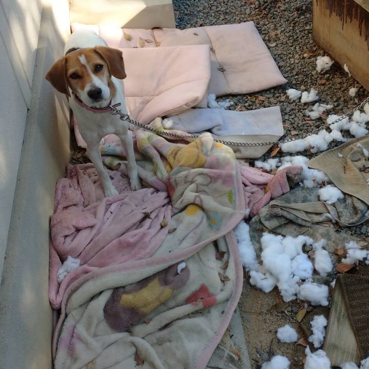 061352d9 4606 4fa6 9b24 ae8dd2025a63 1576199641444