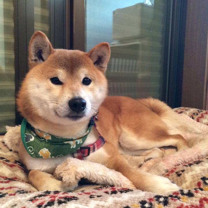 061435c1 7c90 4124 9bc7 5e86ab847fae 1515932511929