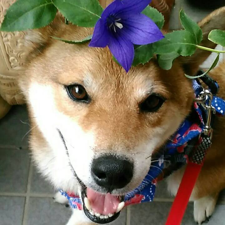 06147419 60ee 4510 bf69 405873ac8b6e 1535617773906