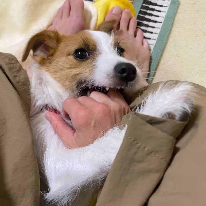 061483bc ad0f 419b bb1f fa1c4726c928 1628774655542