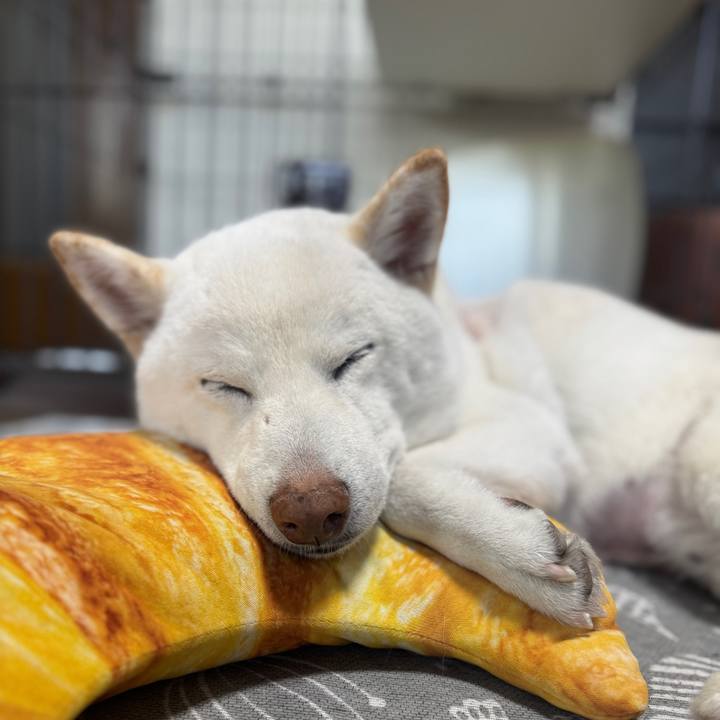 0614ae2c 1c93 45f6 b874 f1a3a79ceb0c 1768279444305