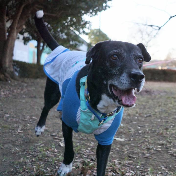 0614ccbb 2e74 49b9 b1d8 85c1dcd02954 1769387770021