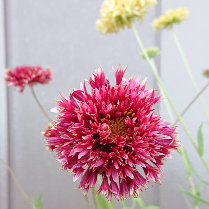 0614dda8 b8d5 42e2 b13e 75b88248ff82 1654004024770