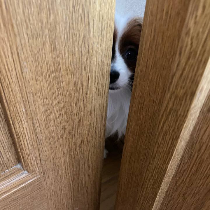 0614f800 31b4 4877 b779 ccaed01a4e8b 1632005905932